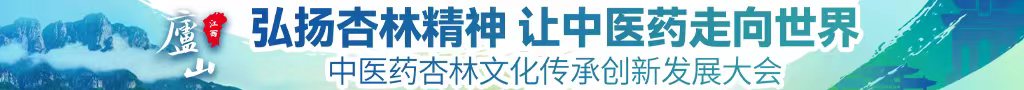 操插爆中医药杏林文化传承创新发展大会